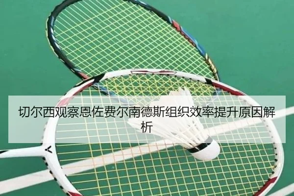 切尔西观察恩佐费尔南德斯组织效率提升原因解析